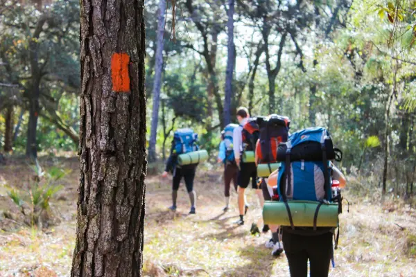 Florida Trail