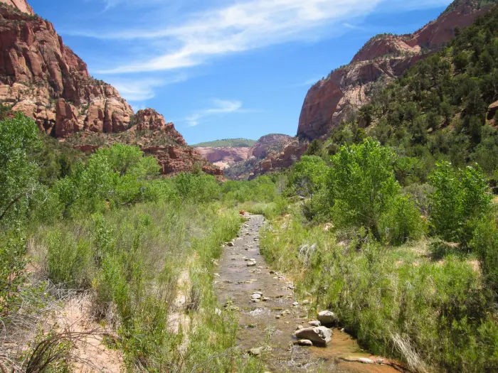 Le Verkin Creek Trail